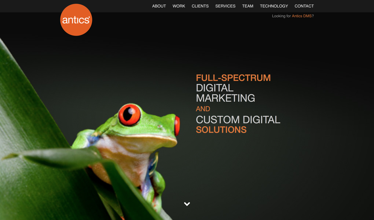 Antics Digital Marketing